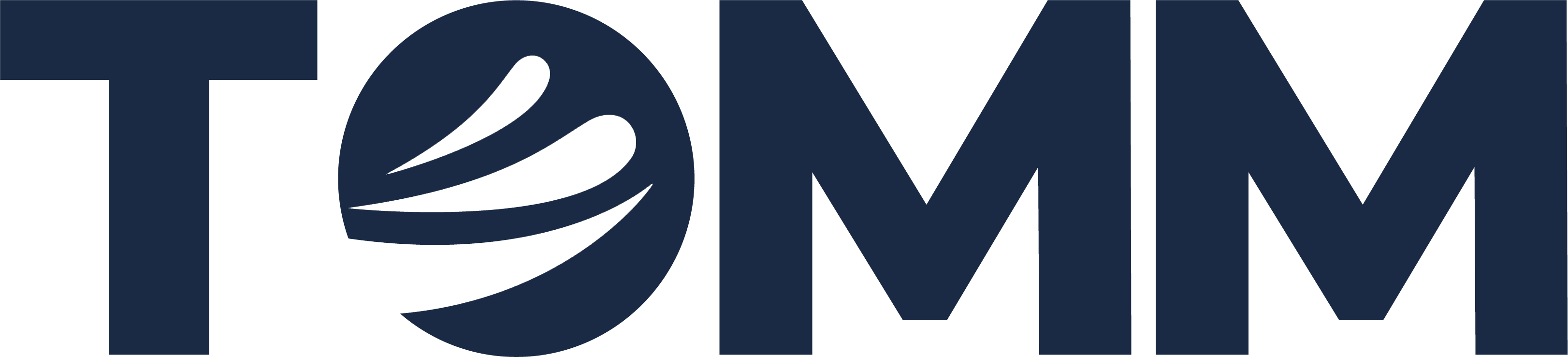 TOMM Strategy + Branding
